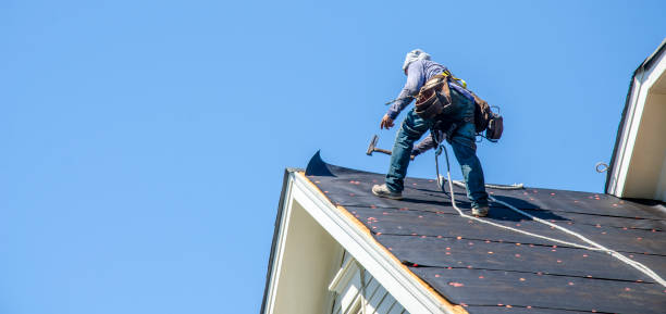 Best Roof Gutter Cleaning  in Monticello, NY